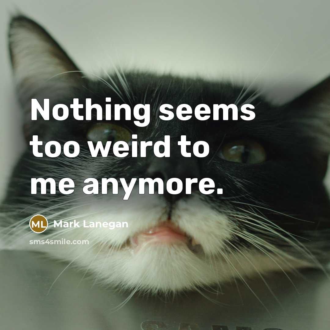 “Nothing seems too weird to me anymore.…” quote by Mark Lanegan