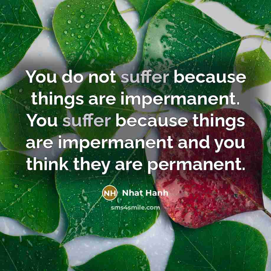 “You do not suffer because things are impermanent. You suffer…” quote by Nhat Hanh