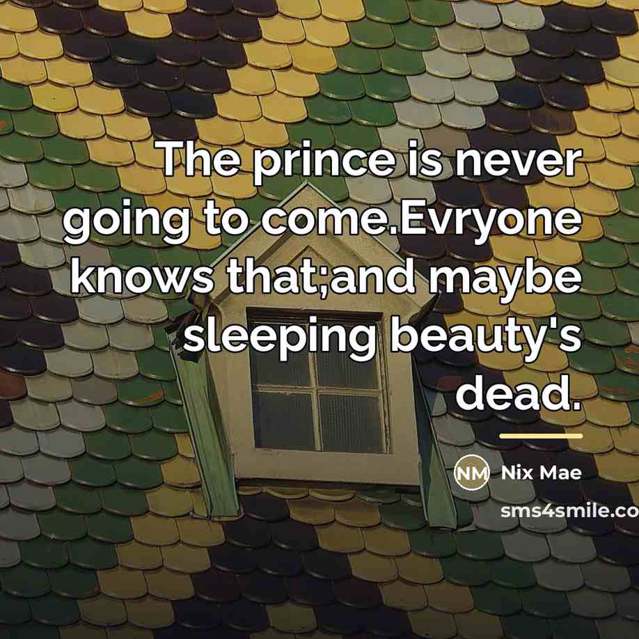 “The prince is never going to come.Evryone knows that;and maybe…” quote by Nix Mae