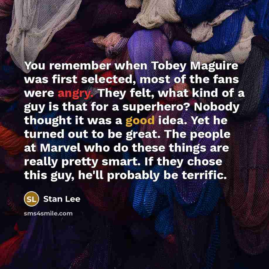 “You remember when Tobey Maguire was first selected, most of…” quote by Stan Lee