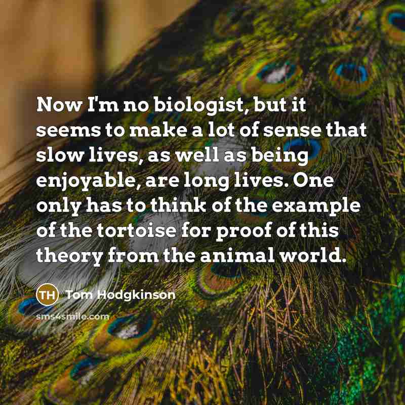 “Now I'm no biologist, but it seems to make a…” quote by Tom Hodgkinson