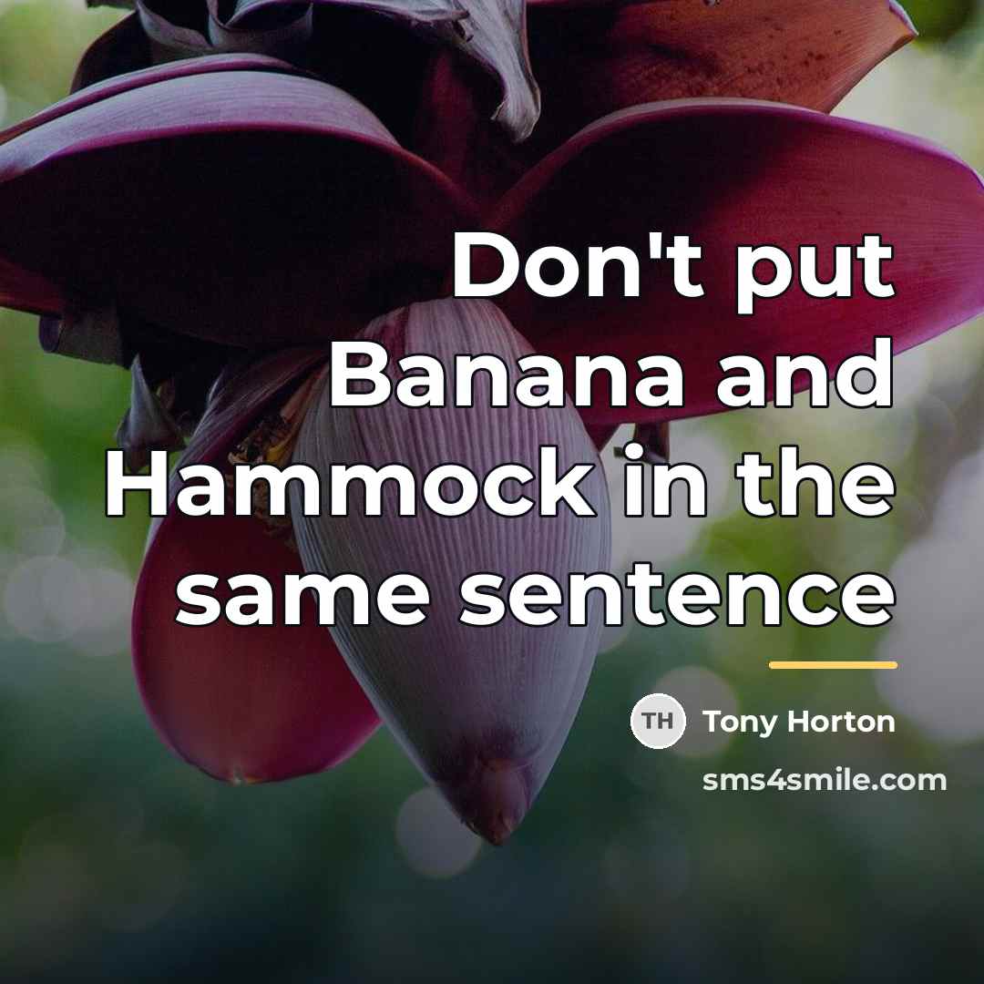 “Don't put Banana and Hammock in the same sentence…” quote by Tony Horton