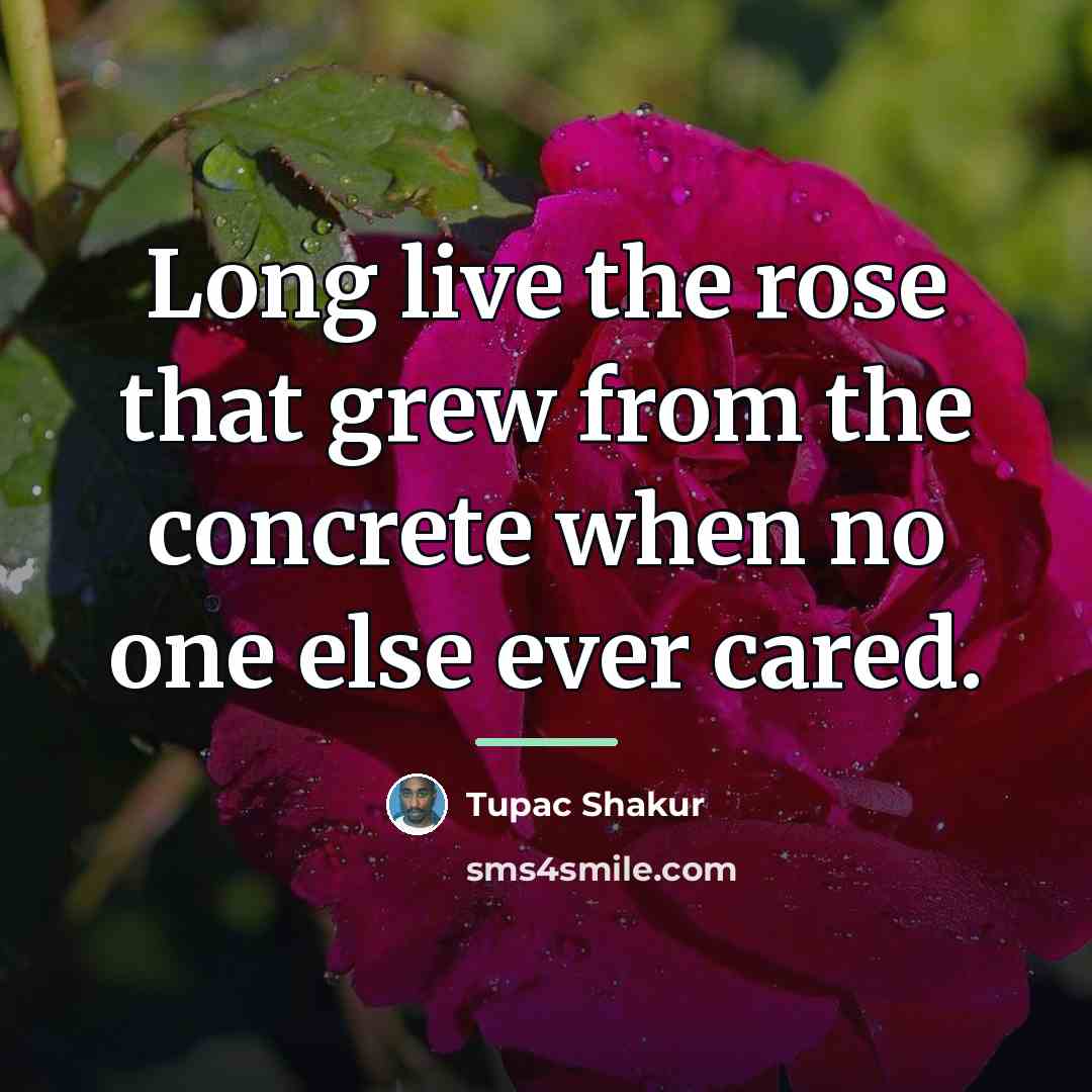 “Long live the rose that grew from the concrete when…” quote by Tupac Shakur