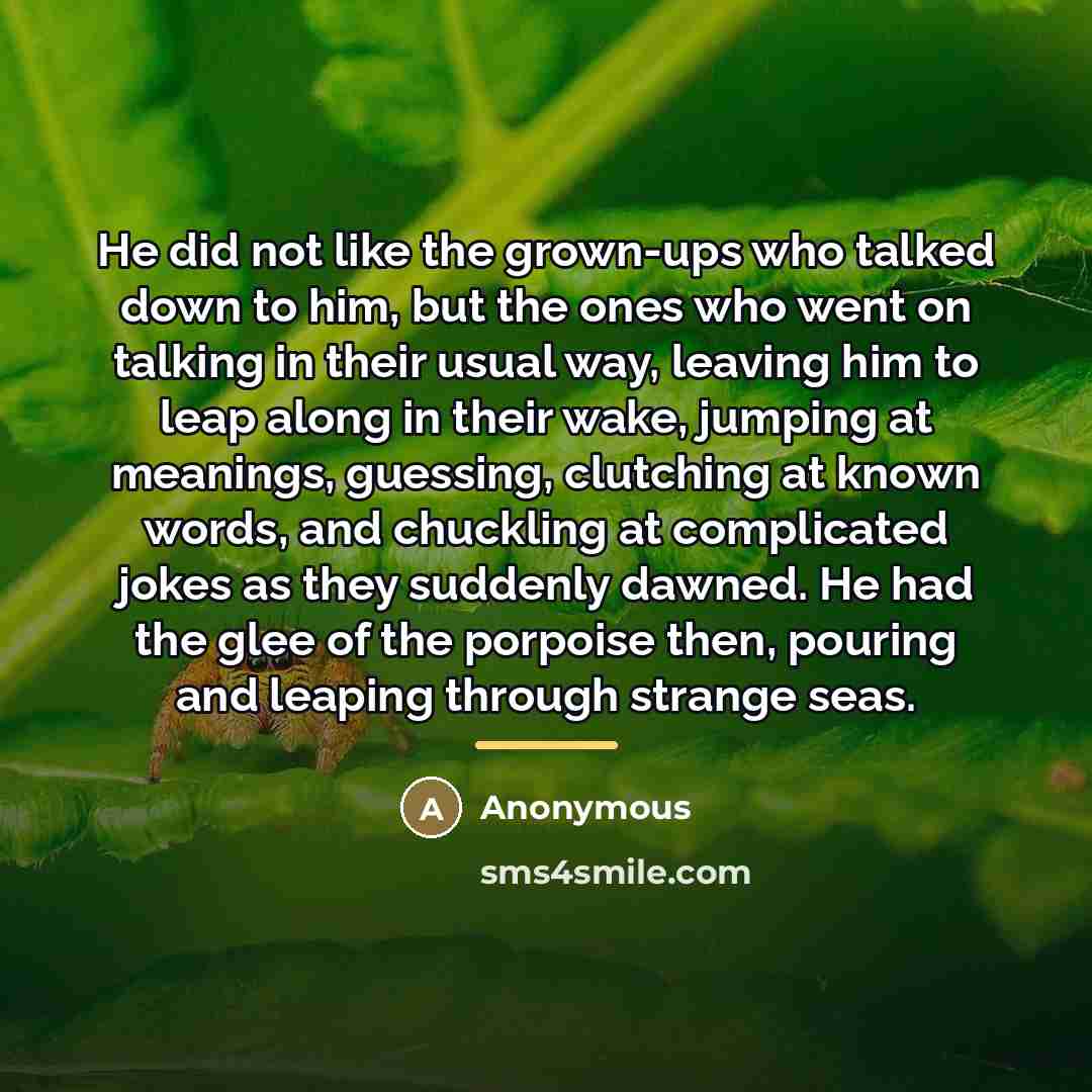“He did not like the grown-ups who talked down to…” quote by Anonymous