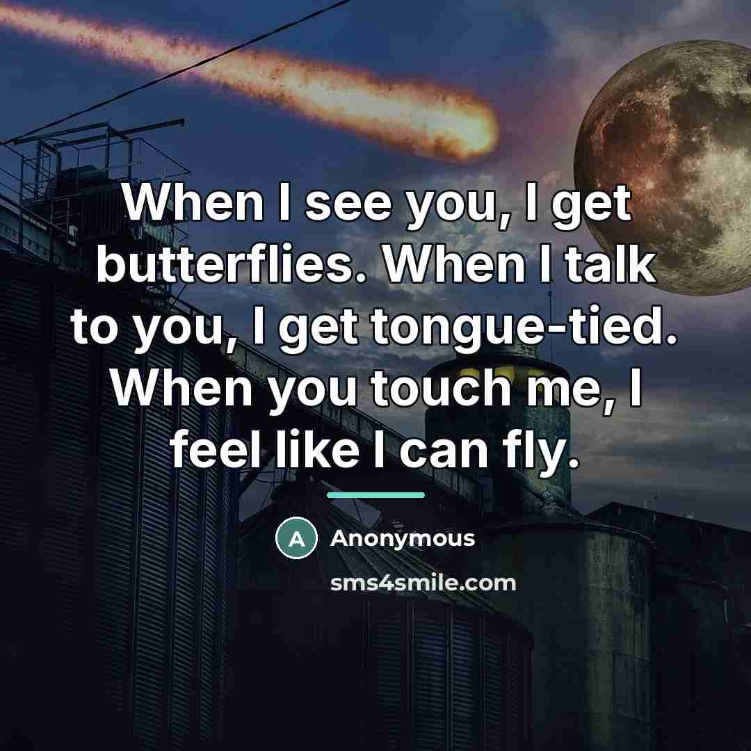 “When I see you, I get butterflies. When I talk…” quote by Anonymous