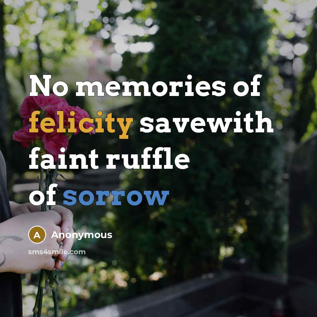 “No memories of felicity savewith faint ruffle of sorrow” quote by Anonymous