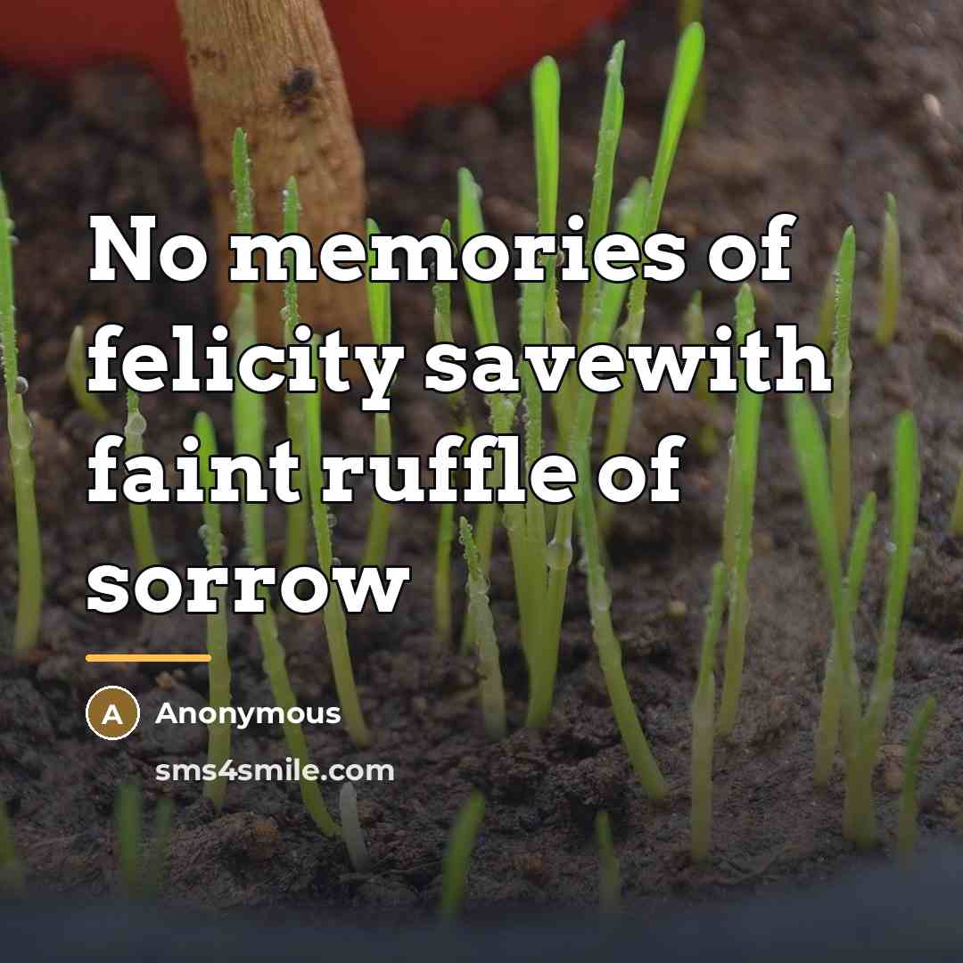 “No memories of felicity savewith faint ruffle of sorrow…” quote by Anonymous