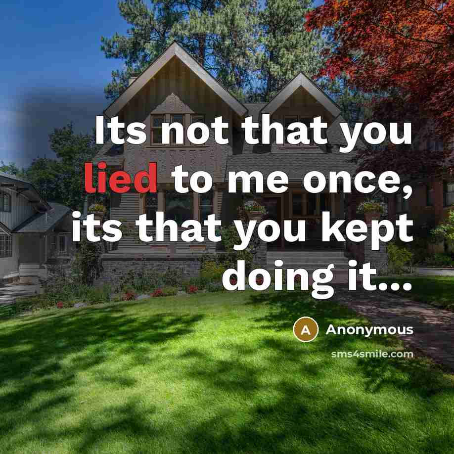 “Its not that you lied to me once, its that you kept doing it...” quote by Anonymous