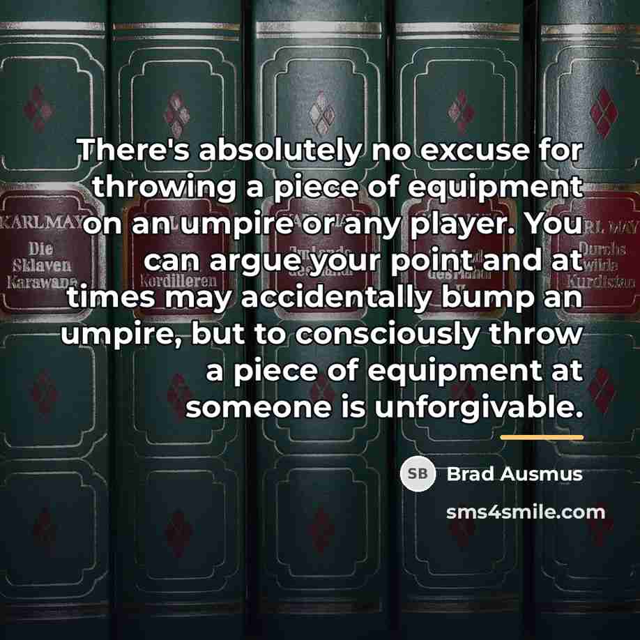 “There's absolutely no excuse for throwing a piece of equipment…” quote by Brad Ausmus