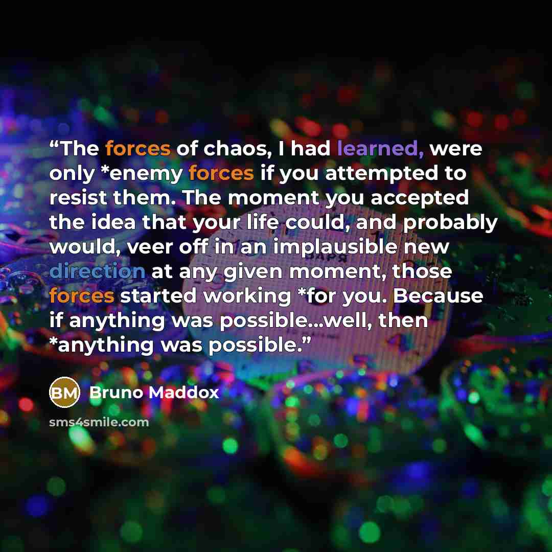 “The forces of chaos, I had learned, were only *enemy forces if you attempted to resist them. The moment you accepted the idea that your life could, and probably would, veer off in an implausible new direction at any given moment, those forces started working *for you. Because if anything was…” quote by Bruno Maddox
