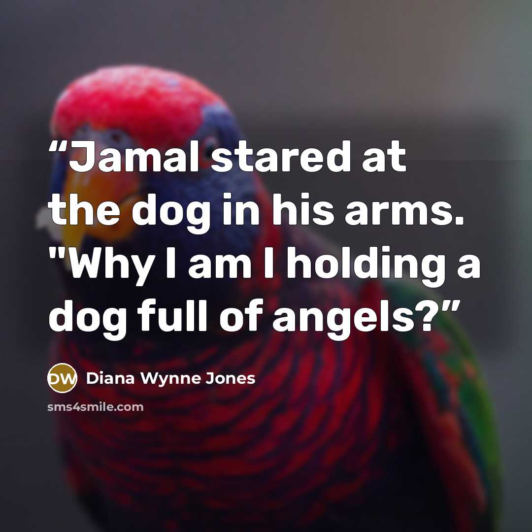 “Jamal stared at the dog in his arms. "Why I am I holding a dog full of angels?” quote by Diana Wynne Jones