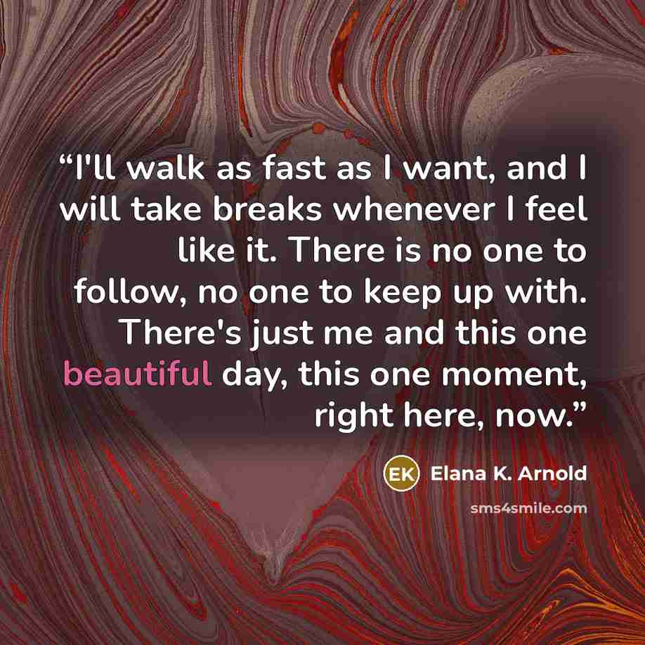 “I'll walk as fast as I want, and I will take breaks whenever I feel like it. There is no one to follow, no one to keep up with. There's just me and this one beautiful day, this one moment, right here, now.” quote by Elana K. Arnold