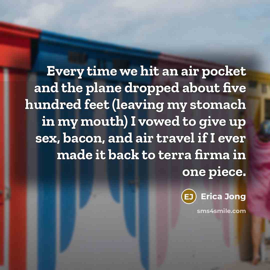 “Every time we hit an air pocket and the plane…” quote by Erica Jong