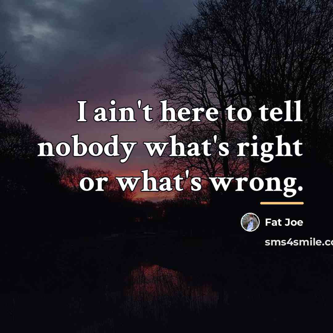 “I ain't here to tell nobody what's right or what's…” quote by Fat Joe