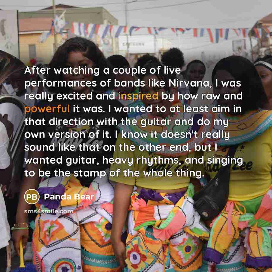 “After watching a couple of live performances of bands like…” quote by Panda Bear