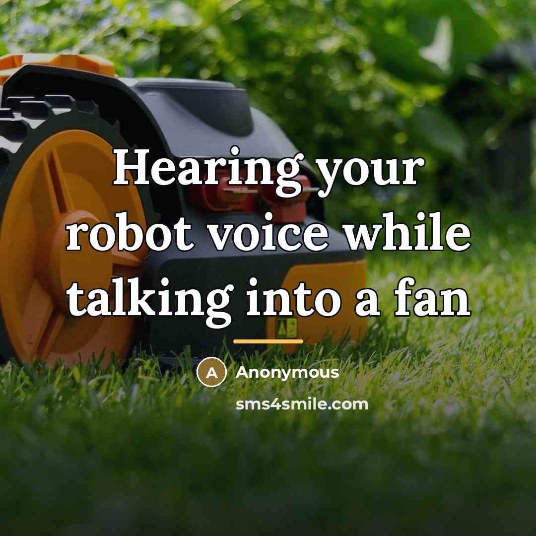 “Hearing your robot voice while talking into a fan…” quote by Anonymous