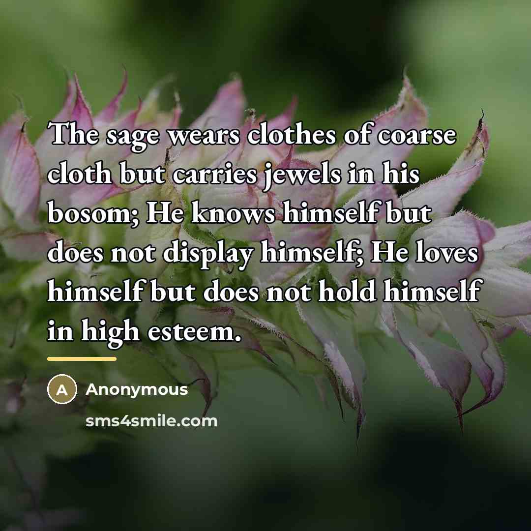 “The sage wears clothes of coarse cloth but carries jewels…” quote by Anonymous