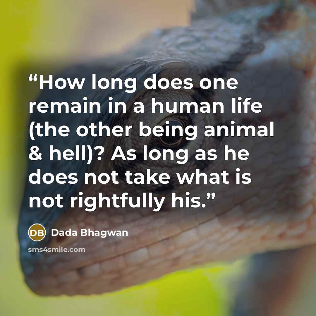 “How long does one remain in a human life (the other being animal & hell)? As long as he does not take what is not rightfully his.” quote by Dada Bhagwan