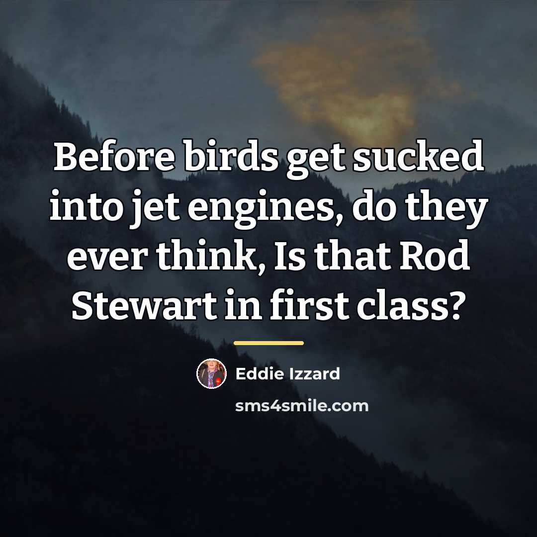 “Before birds get sucked into jet engines, do they ever…” quote by Eddie Izzard