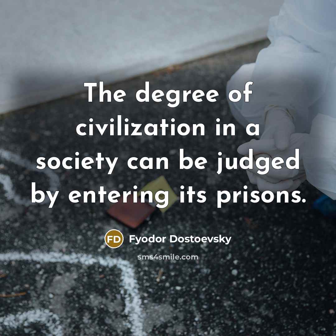 “The degree of civilization in a society can be judged…” quote by Fyodor Dostoevsky