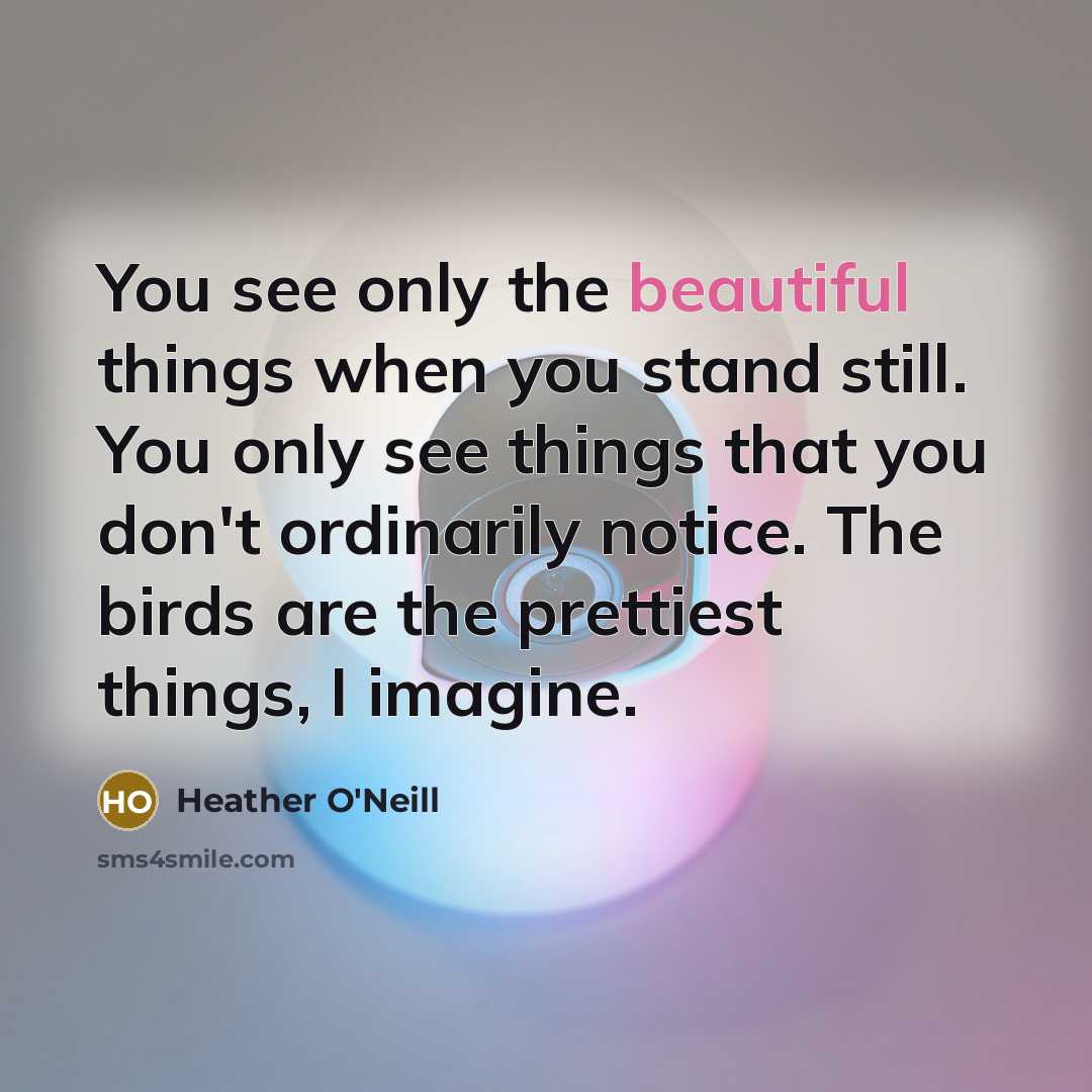 “You see only the beautiful things when you stand still.…” quote by Heather O'Neill