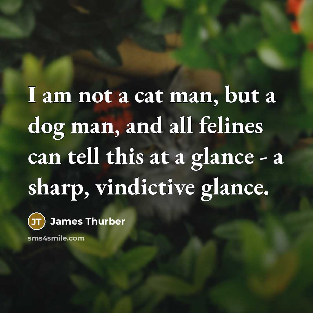 “I am not a cat man, but a dog man,…” quote by James Thurber
