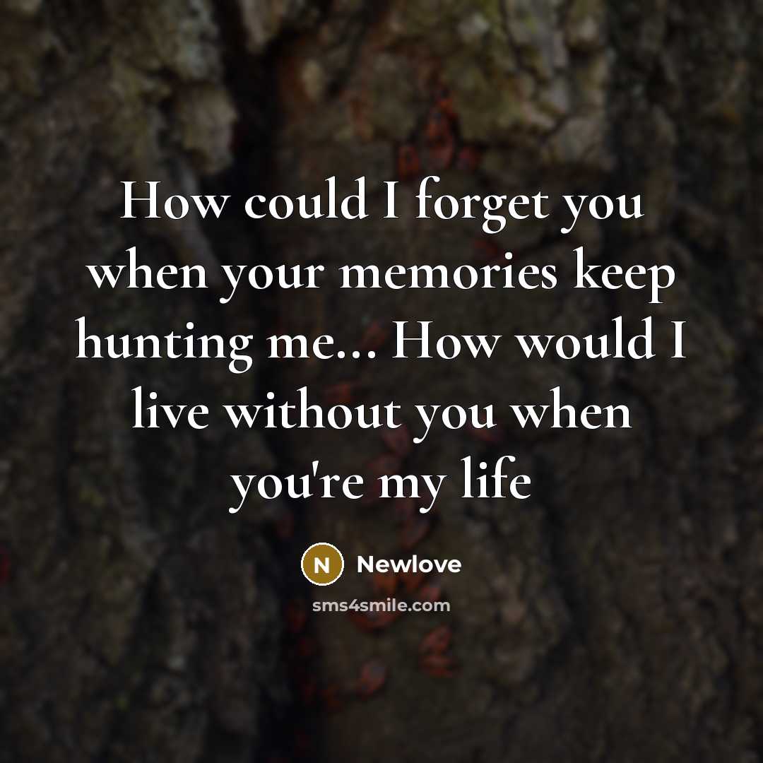 “How could I forget you when your memories keep hunting…” quote by Newlove