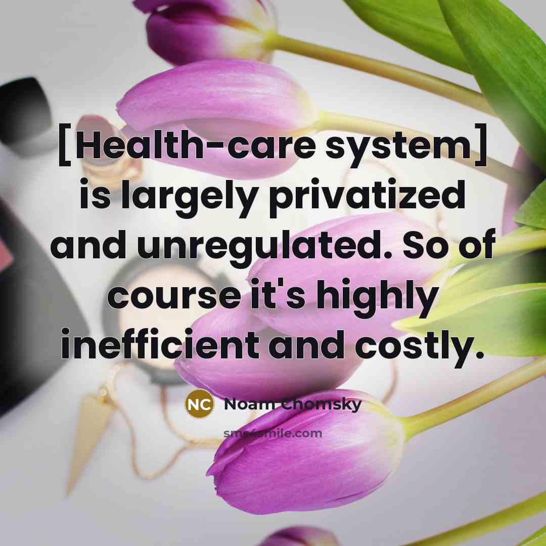 “[Health-care system] is largely privatized and unregulated. So of course…” quote by Noam Chomsky