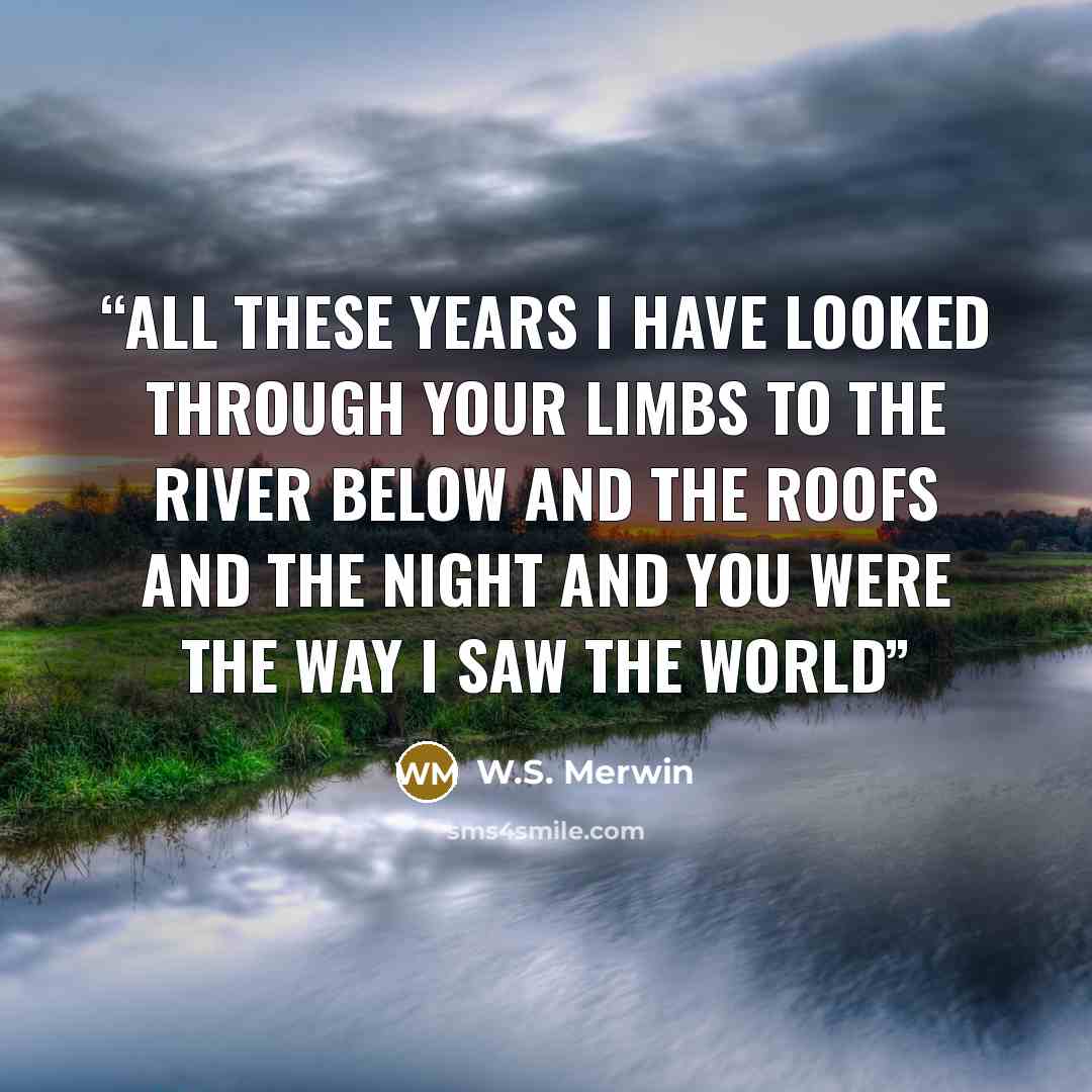 “all these years I have looked through your limbs to the river below and the roofs and the night and you were the way I saw the world” quote by W.S. Merwin