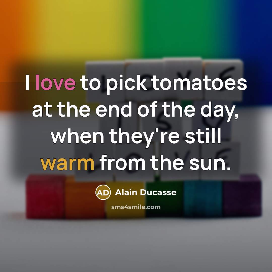 “I love to pick tomatoes at the end of the…” quote by Alain Ducasse
