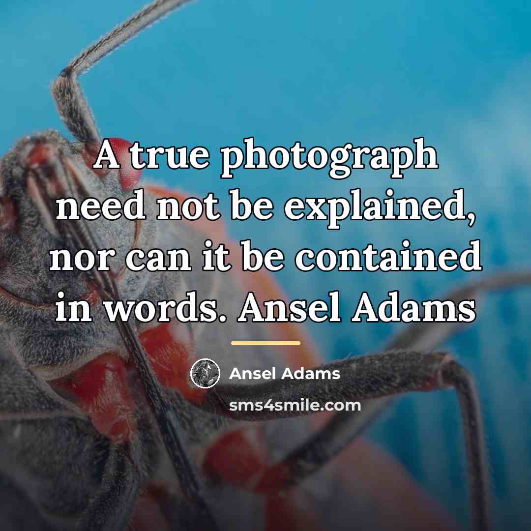 “A true photograph need not be explained, nor can it…” quote by Ansel Adams