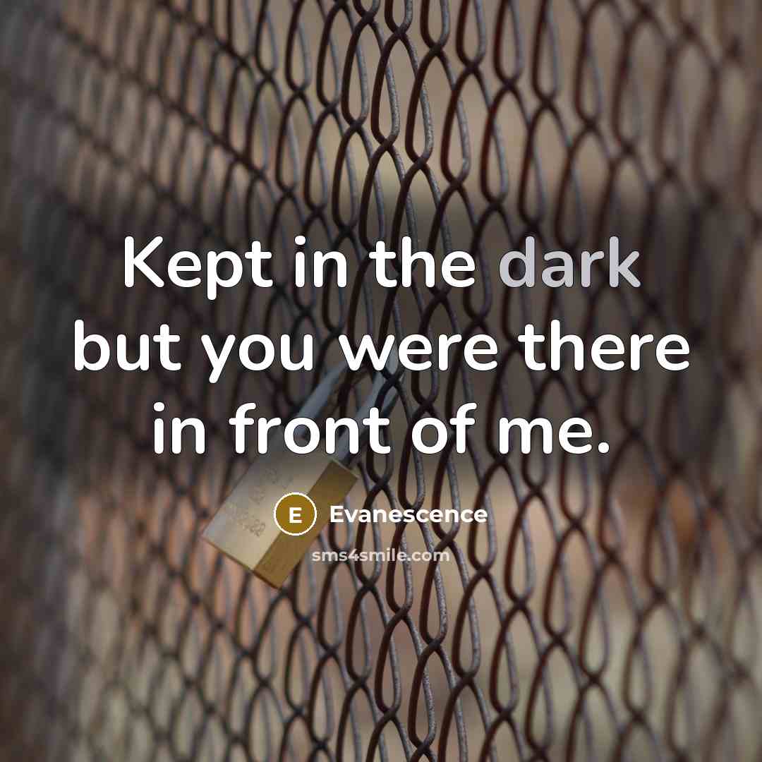 “Kept in the dark but you were there in front…” quote by Evanescence