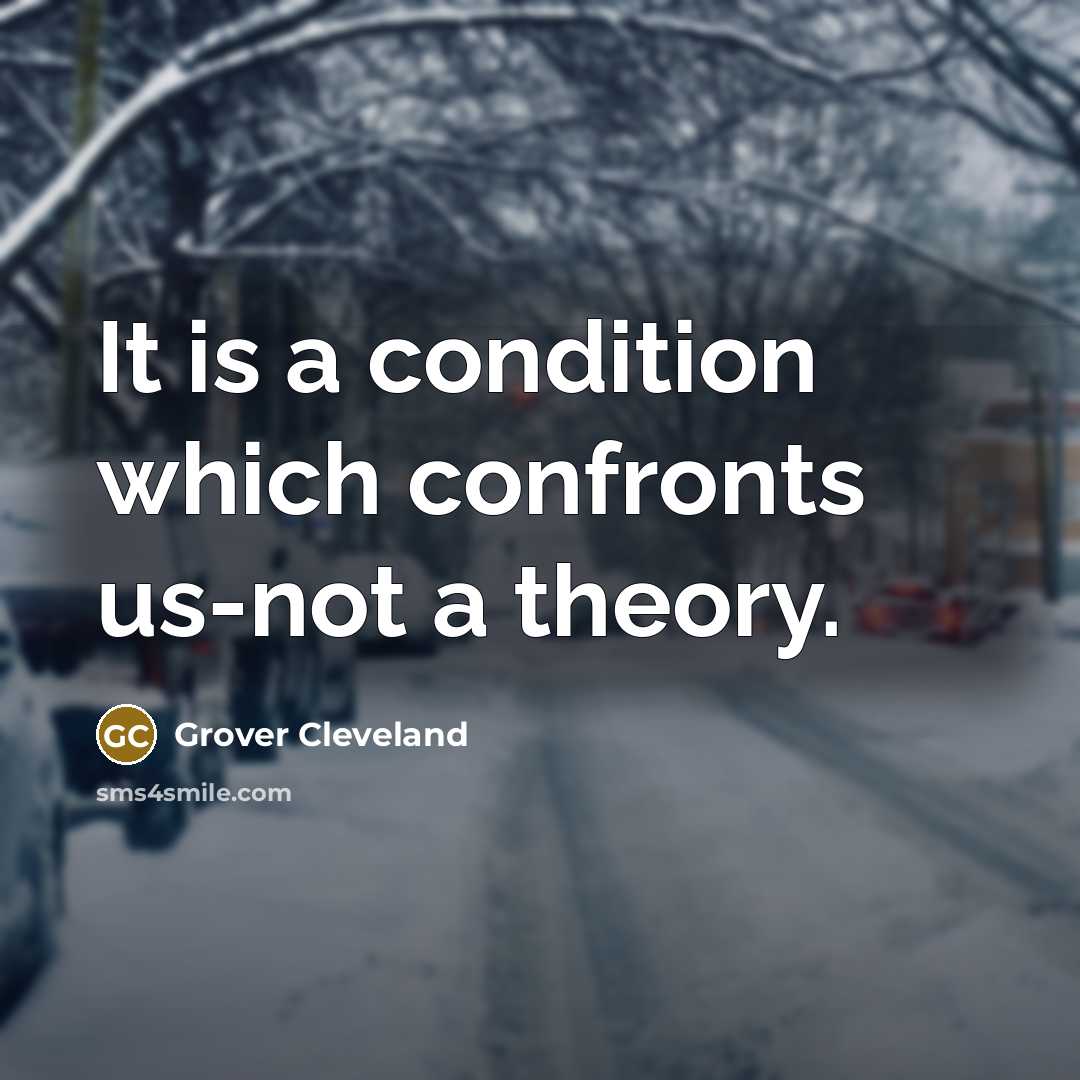 “It is a condition which confronts us-not a theory.” quote by Grover Cleveland