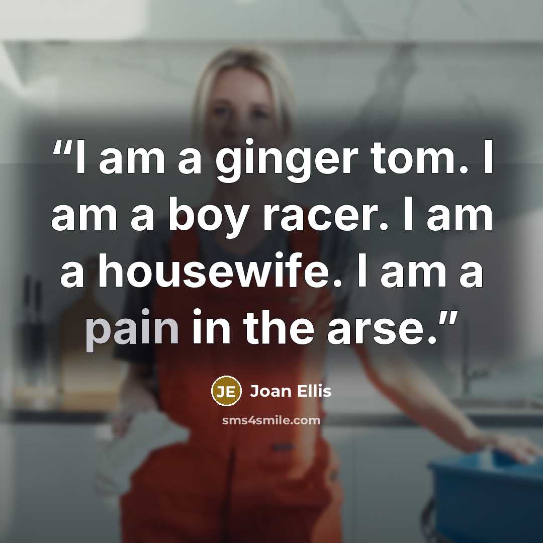 “I am a ginger tom. I am a boy racer. I am a housewife. I am a pain in the arse.” quote by Joan Ellis