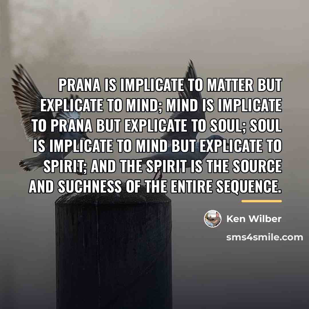 “Prana is implicate to matter but explicate to mind; mind…” quote by Ken Wilber