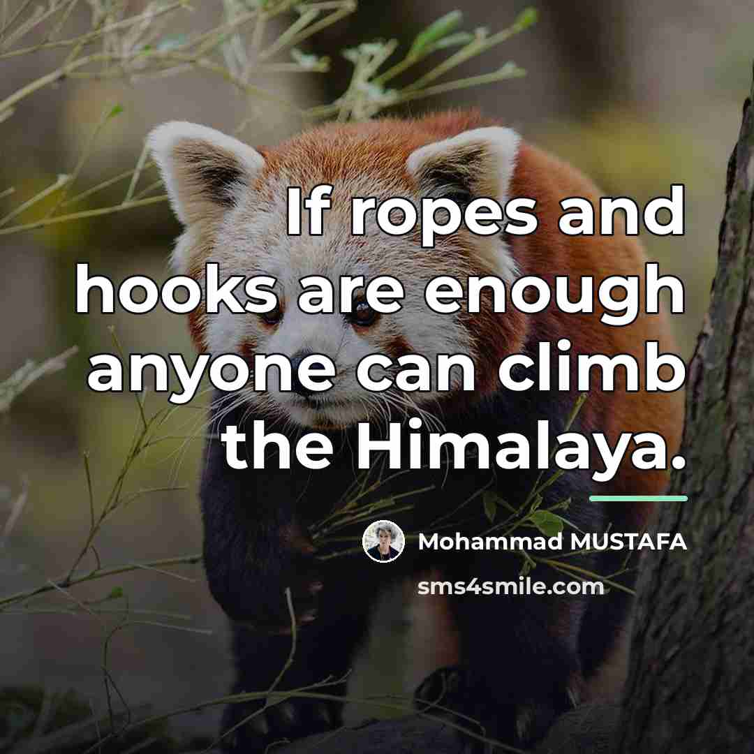 “If ropes and hooks are enough anyone can climb the…” quote by Mohammad MUSTAFA