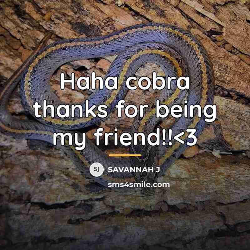 “Haha cobra thanks for being my friend!!…” quote by Savannah J