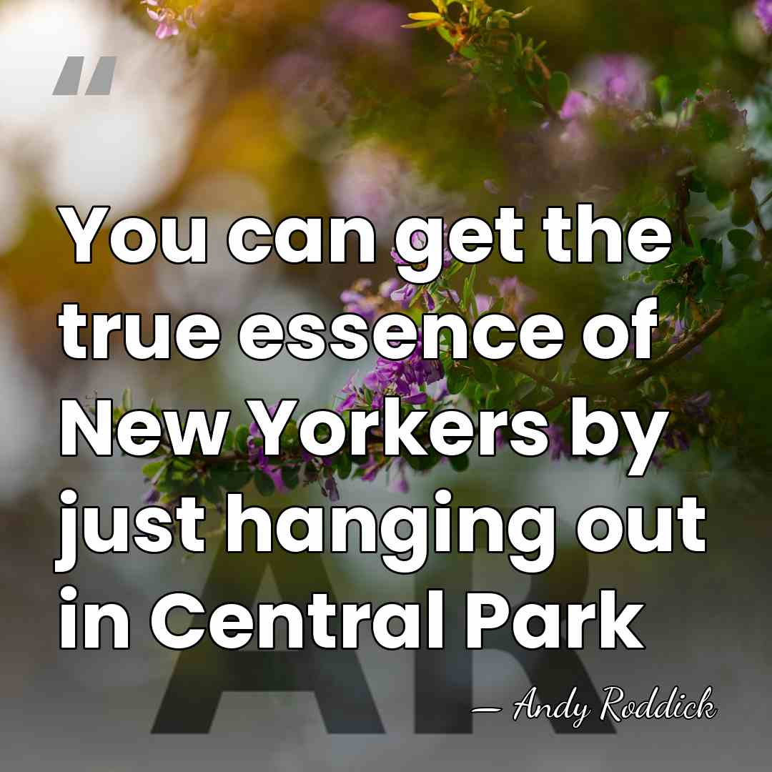 You can get the true essence of New Yorkers by just hanging&hellip; - Andy Roddick