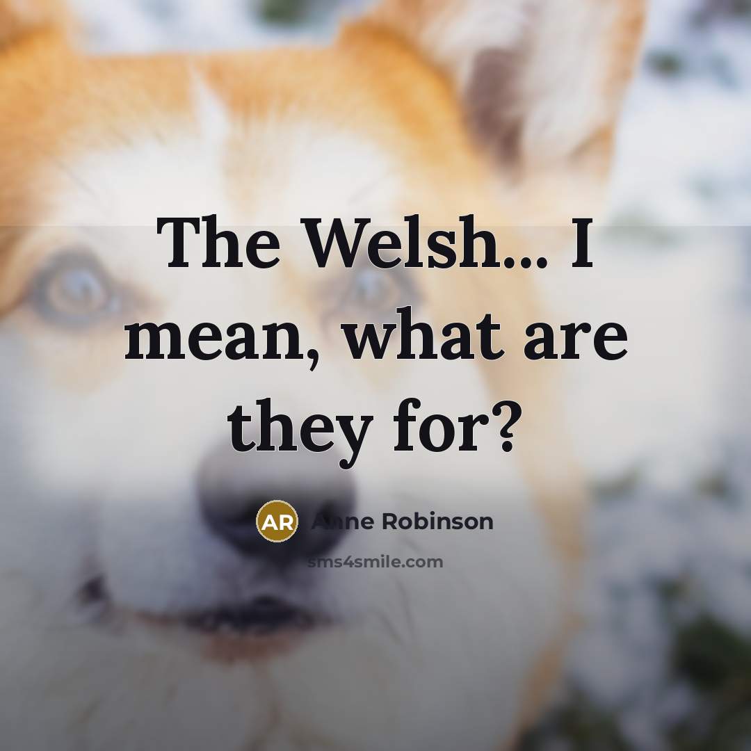 “The Welsh... I mean, what are they for?…” quote by Anne Robinson