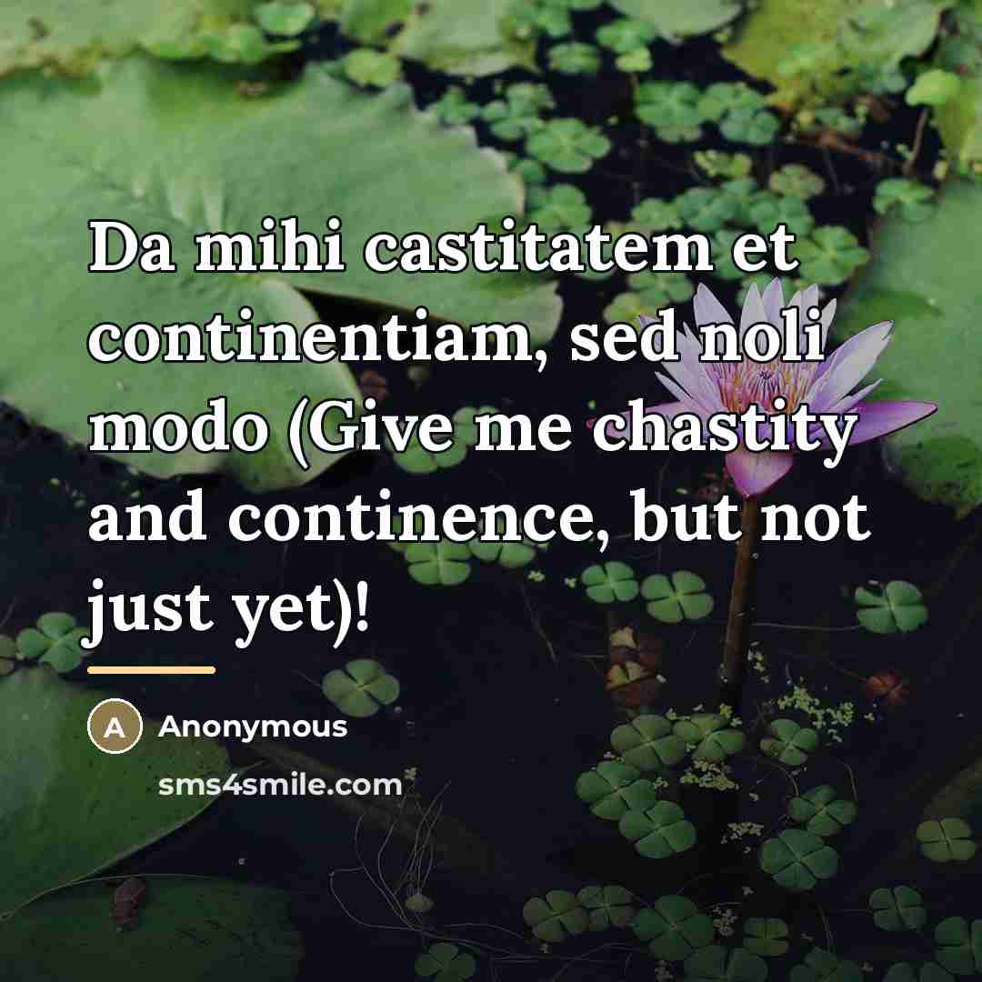 “Da mihi castitatem et continentiam, sed noli modo (Give me…” quote by Anonymous