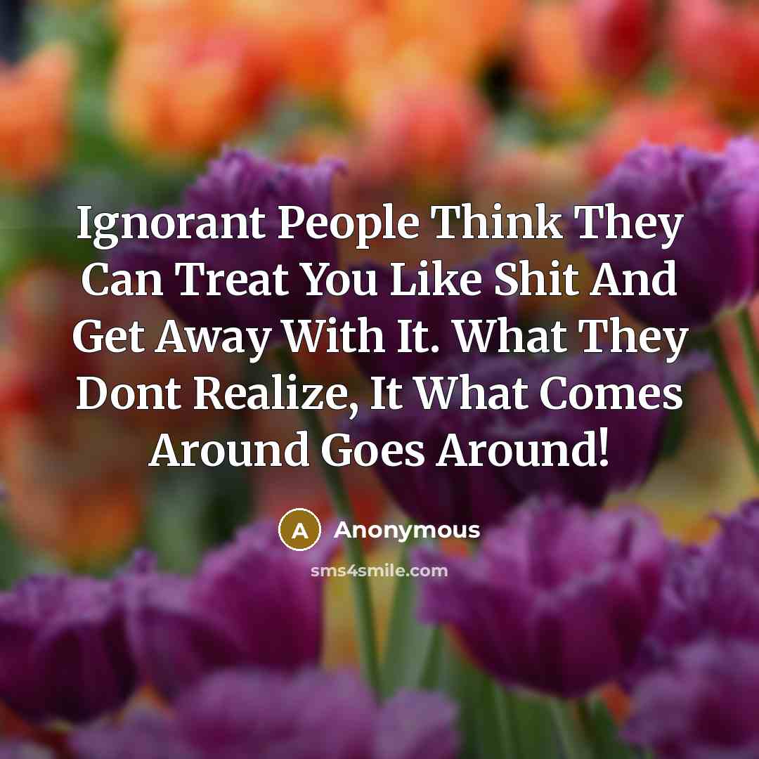“Ignorant People Think They Can Treat You Like Shit And Get Away With It. What They Dont Realize, It What Comes Around Goes Around!” quote by Anonymous