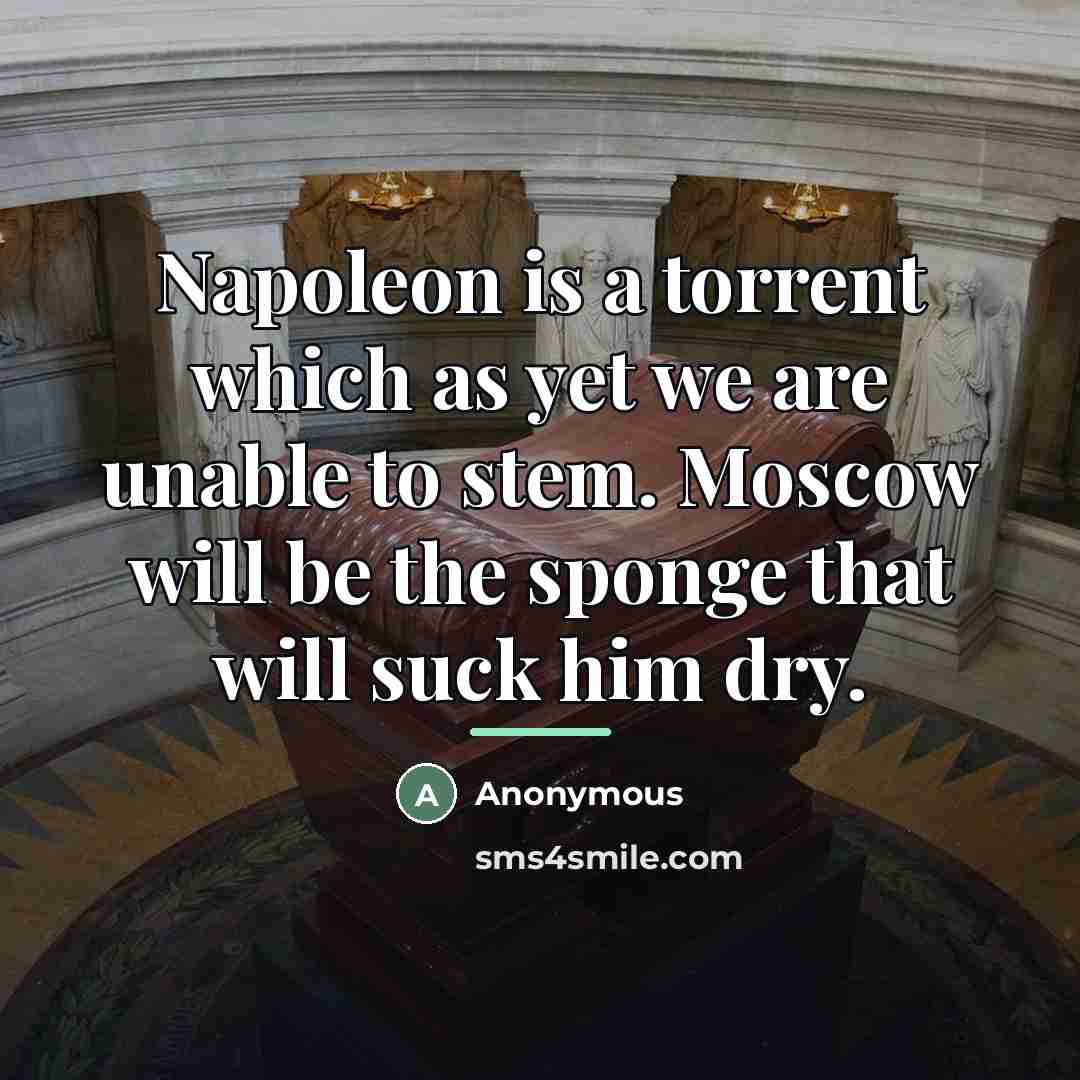 “Napoleon is a torrent which as yet we are unable…” quote by Anonymous