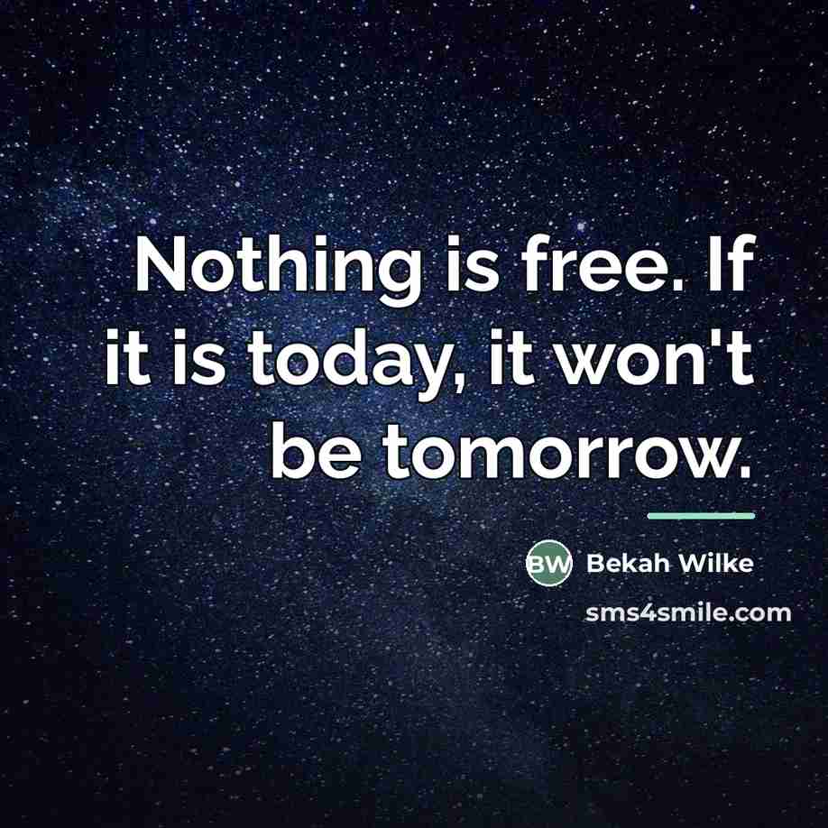 “Nothing is free. If it is today, it won't be…” quote by Bekah Wilke