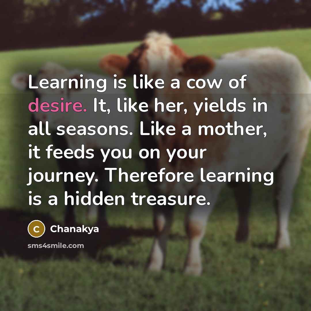 “Learning is like a cow of desire. It, like her,…” quote by Chanakya