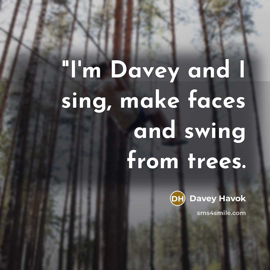 “"I'm Davey and I sing, make faces and swing from…” quote by Davey Havok