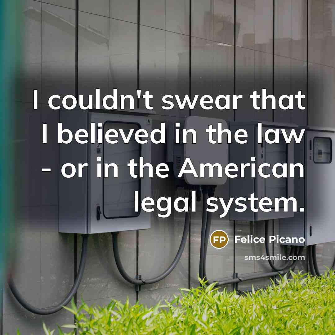 “I couldn't swear that I believed in the law -…” quote by Felice Picano