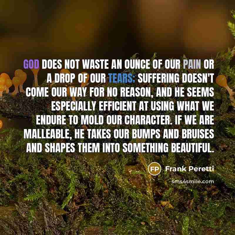 “God does not waste an ounce of our pain or…” quote by Frank Peretti