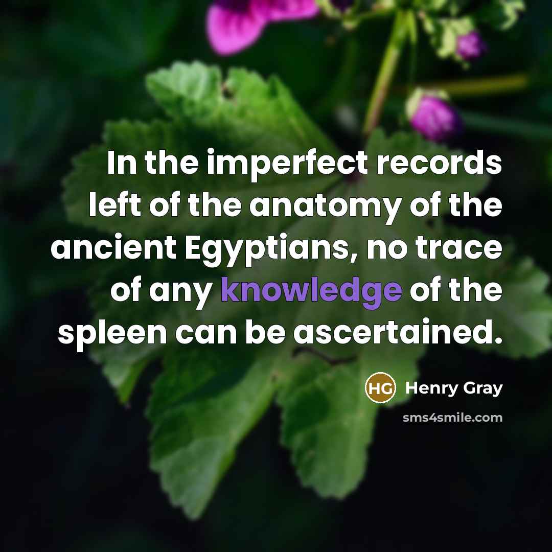 “In the imperfect records left of the anatomy of the…” quote by Henry Gray