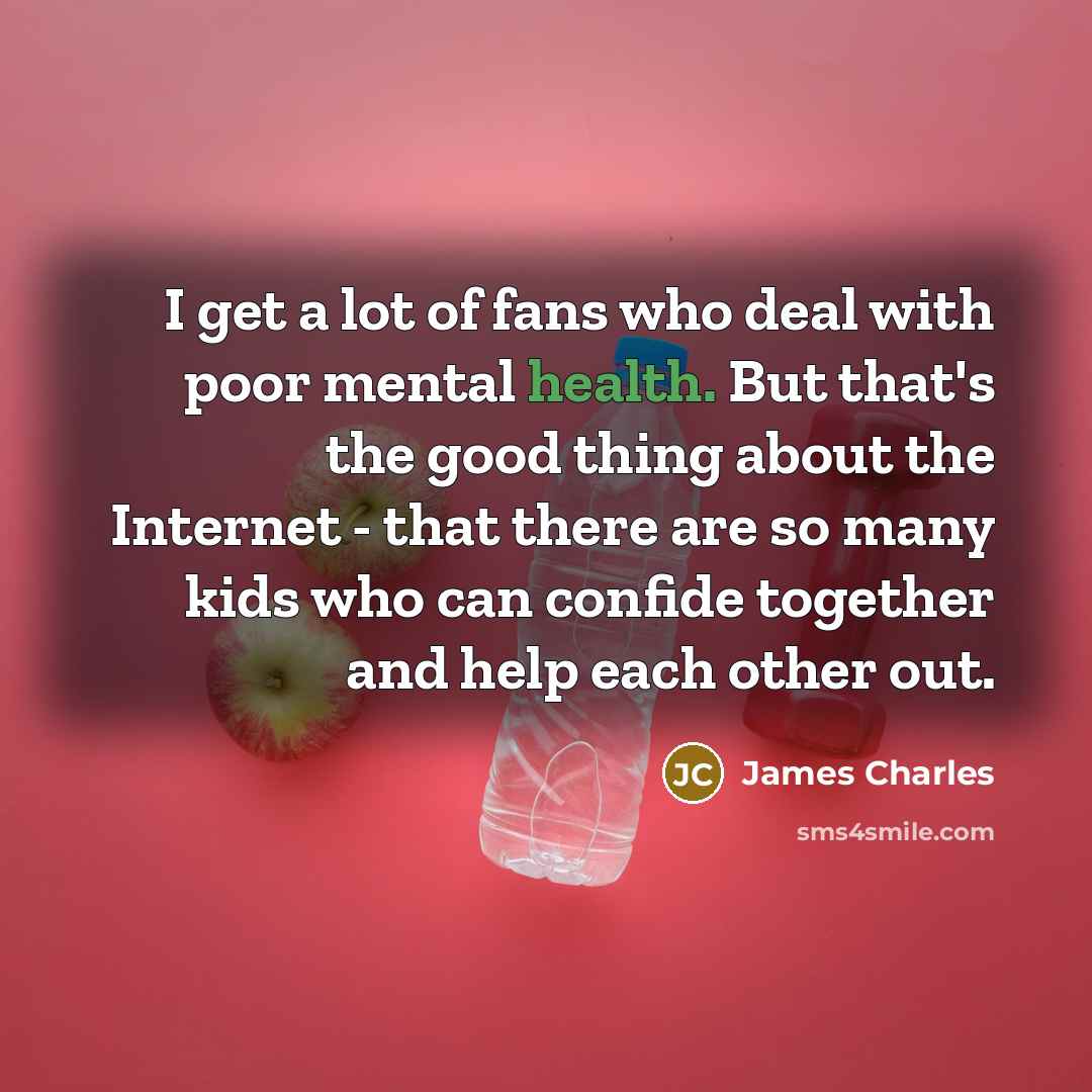 “I get a lot of fans who deal with poor…” quote by James Charles
