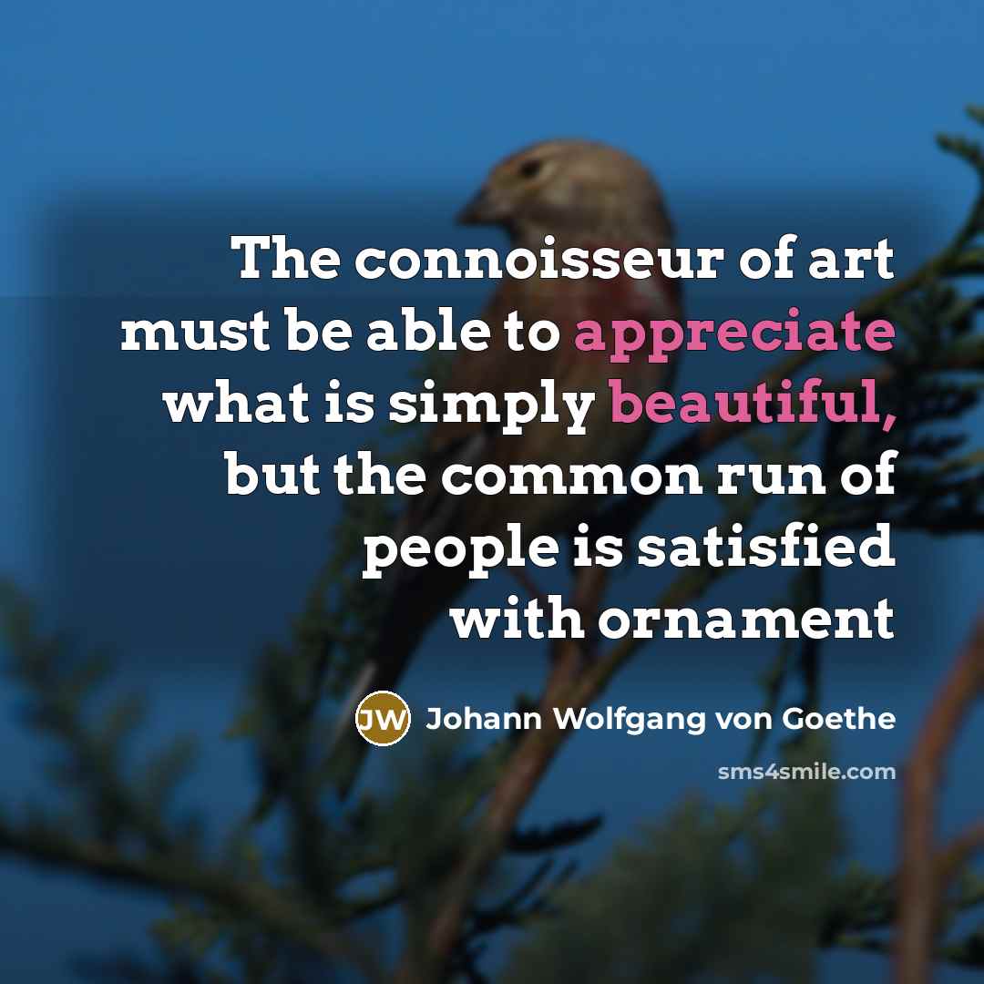 “The connoisseur of art must be able to appreciate what…” quote by Johann Wolfgang Von Goethe